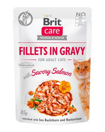 BRIT Care Cat Fillets in gravy savory salmon 85 g filetti di salmone in salsa