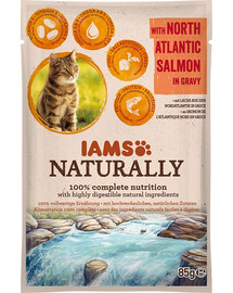 IAMS Naturally adulto Gatto con Salmone dell'Atlantico del Nord in Salsa 85 g