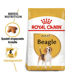 ROYAL CANIN Beagle Adult 24kg (2x12kg)