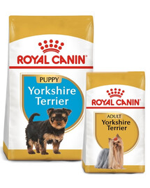 ROYAL CANIN Yorkshire Terrier Junior 7.5 kg + alimentazione successiva 0.5kg