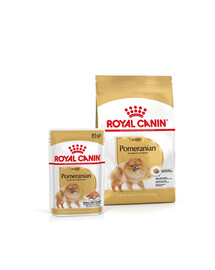 ROYAL CANIN Pomeranian Adult 3 kg + umido 12x85g