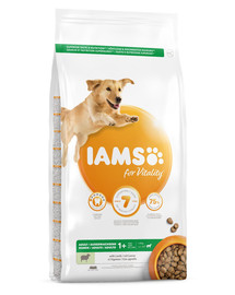 IAMS for Vitality alimento per cani adulti di taglia grande con agnello 3 kg