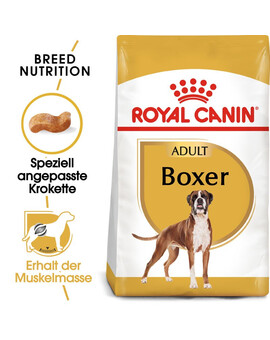 ROYAL CANIN Boxer Adult alimento secco per cani boxer adulti 12 kg