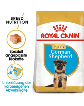 ROYAL CANIN German Shepherd junior 12 kg