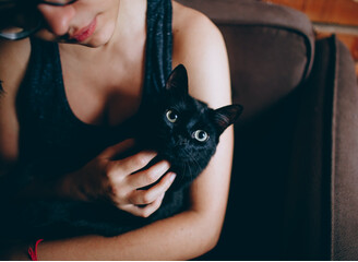I gatti neri sono oggetto di molti miti e superstizioni. La più diffusa afferma che portano sfortuna.