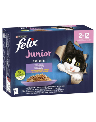 FELIX FANTASTIC Junior Vegyes ízek zselében (marhahús, csirke, szardínia, lazac) 12x85g nedves macskaeledel kiscicák számára
