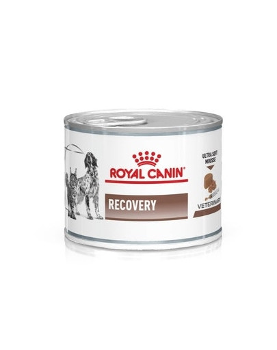 ROYAL CANIN Vet Recovery dog/cat 195g