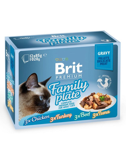 BRIT Premium Cat fillets in gravy - gusti vari 48 x 85 g
