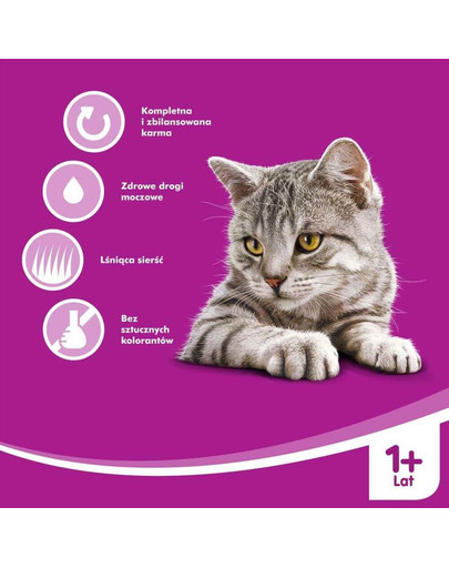 WHISKAS 1+ Zuppa Cremosa Gusti Tradizionali 4 x 85g