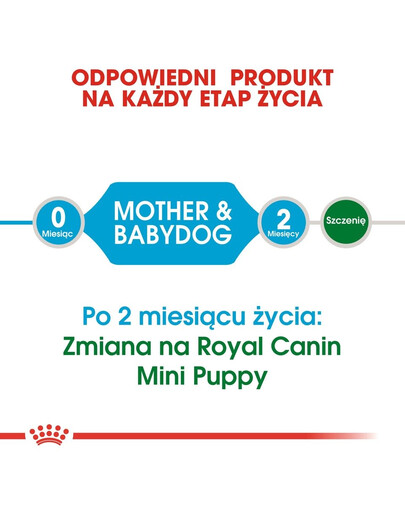 ROYAL CANIN Mini Starter Mother& Babydog 4kg cibo secco per la gravidanza, allattamento e cuccioli da 4 a 8 settimane, razze piccole