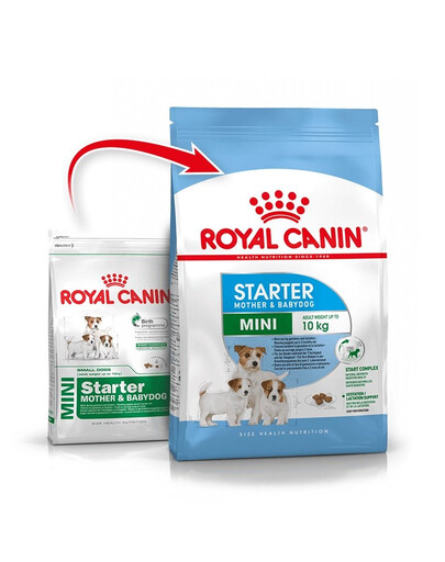 ROYAL CANIN Mini Starter Mother& Babydog 4kg cibo secco per la gravidanza, allattamento e cuccioli da 4 a 8 settimane, razze piccole