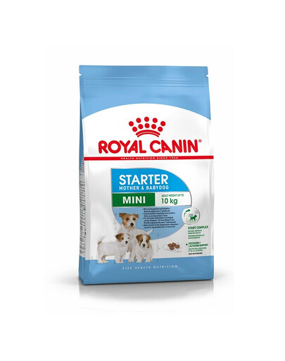 ROYAL CANIN Mini Starter Mother& Babydog 4kg cibo secco per la gravidanza, allattamento e cuccioli da 4 a 8 settimane, razze piccole