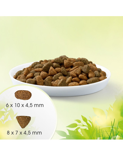 PERFECT FIT Natural Vitality con pollo e tacchino per gatti adulti 6 kg