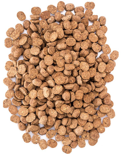 SIMPLY FROM NATURE Training Treats con proteine di insetti 300 g