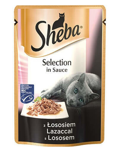 SHEBA Selection in Sauce con salmone 85 g