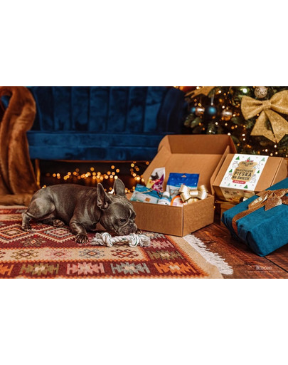 ZOLUX Set regalo di Natale per il vostro cane