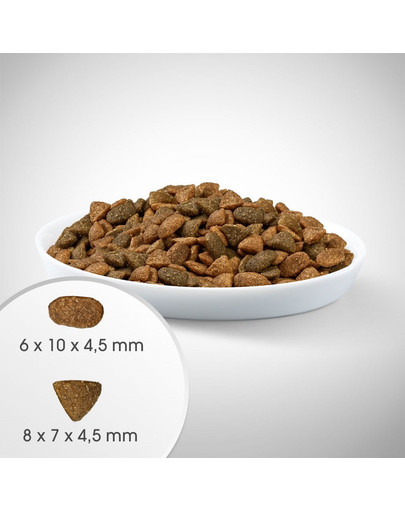 PERFECT FIT Active 1+ Alimento ricco di manzo per gatti adulti 7 kg