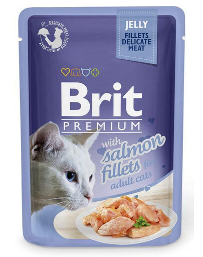 BRIT Premium Fillets in Jelly bustine di gelatina per gatti 24 x 85g