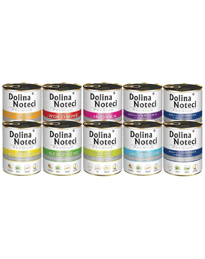 DOLINA NOTECI Premium Mix gusti 20 x 800g