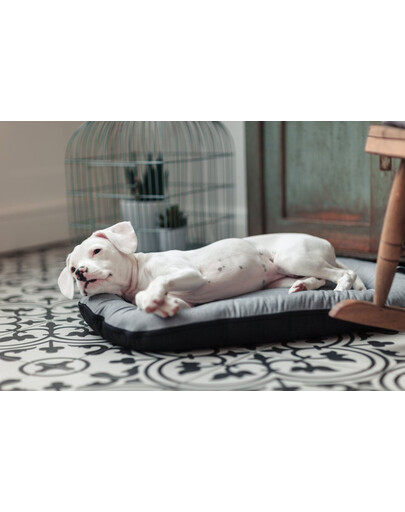 FERA Sky Ponton letto per cani S 74 x 46 cm