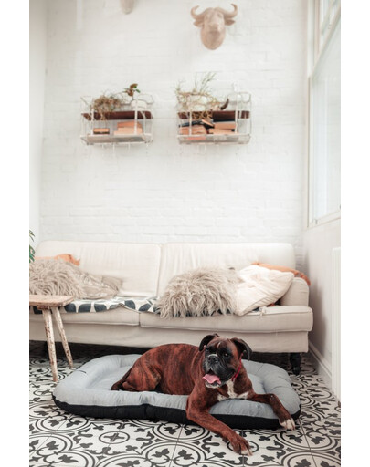 FERA Sky Ponton letto per cani S 74 x 46 cm
