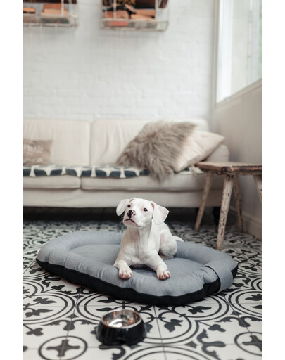 FERA Sky Ponton letto per cani S 74 x 46 cm