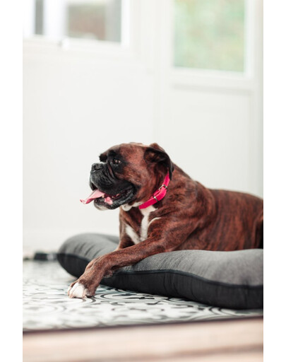 FERA Sunset Ponton letto per cani S 70 x 46 cm