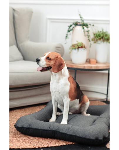 FERA Sunset Ponton letto per cani XL 114 x 83 x 10 cm