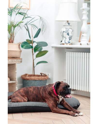 FERA Sunset Ponton letto per cani S 70 x 46 cm