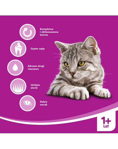 WHISKAS Adult Manzo 800g x 5