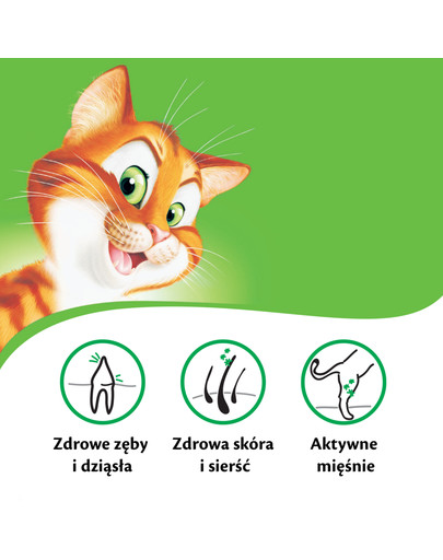 KITEKAT Cibo secco per gatti Pesce Bianco Verdure 12 kg