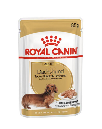 ROYAL CANIN Jamnik Adult 24 x 85 g cibo umido specifico per cani adulti di razza Bassotto