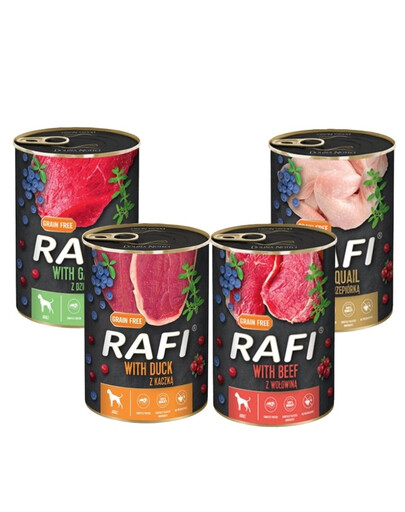 DOLINA NOTECI Rafi Premium Mix gusti 24 x 400g