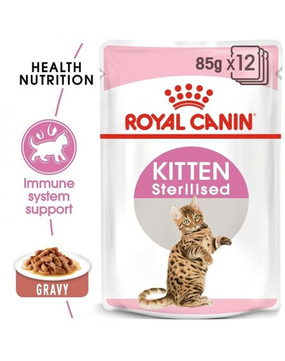 ROYAL CANIN Kitten Sterilised cibo umido in salsa per gattini fino a 12 mesi di età, sterilizzato 24 x 85 g