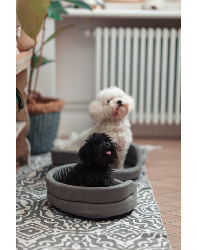 FERA Letto per cani ovale con cuscino 53x44x16 cm grigio