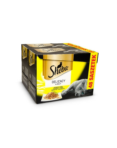 SHEBA Delicato in Gelatina Aromi di pollame 48 x 85g