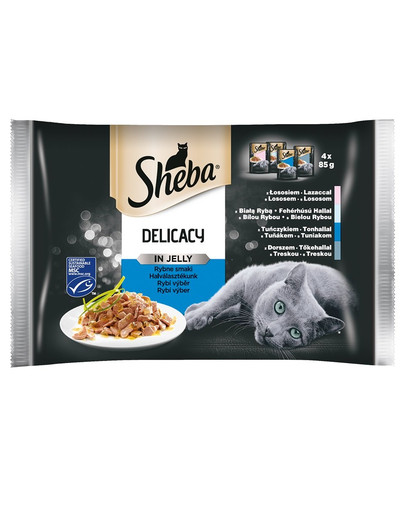 SHEBA Delicacy in Jelly Fish cibo per gatti adulti al gusto di gelatina 52x85g