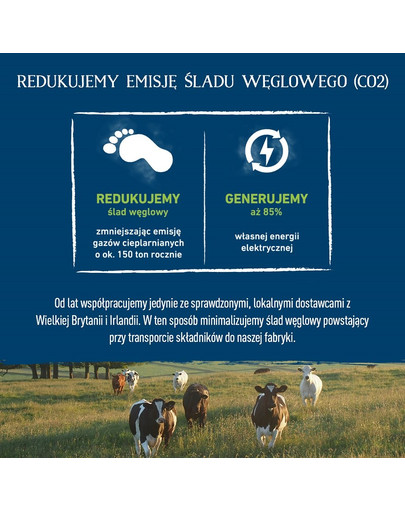 BUTCHER'S Original Recipe in Jelly cibo per cani, pezzi di pollo in gelatina, 400g