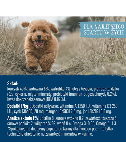 BUTCHER'S Original Junior cibo per cani, pezzi di pollo in gelatina, 400g