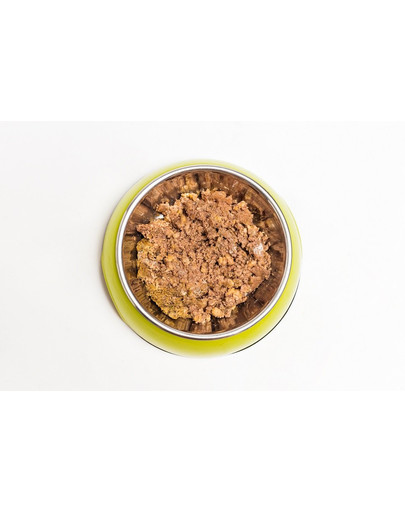 ARUBA Dog Organic cibo umido per cani tacchino con avena, barbabietola e carciofi 100 g
