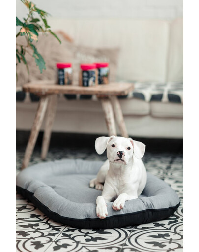 FERA Sky Ponton letto per cani XL 116 x 83 cm