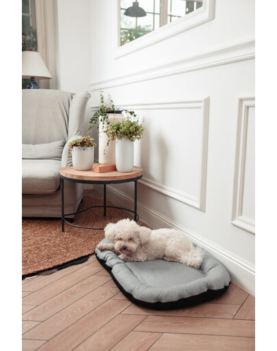 FERA Sky Ponton letto per cani XL 116 x 83 cm