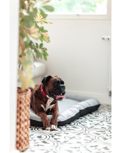 FERA Sky Ponton letto per cani XL 116 x 83 cm