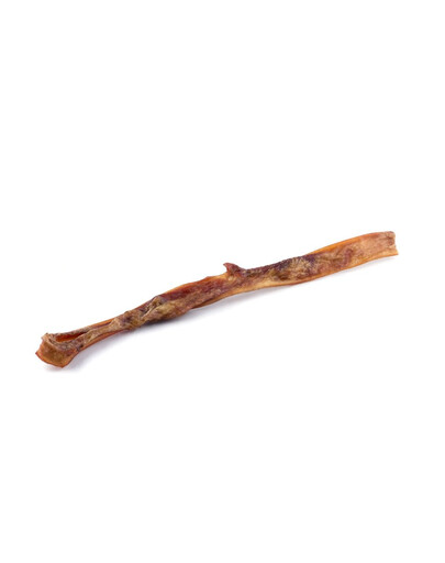 MACED Snack da masticare manzo 45 cm