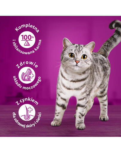 WHISKAS Adult 52x85g Variazioni cremose di cibo umido per gatti adulti in salsa con: pollo e verdure, agnello e tacchino