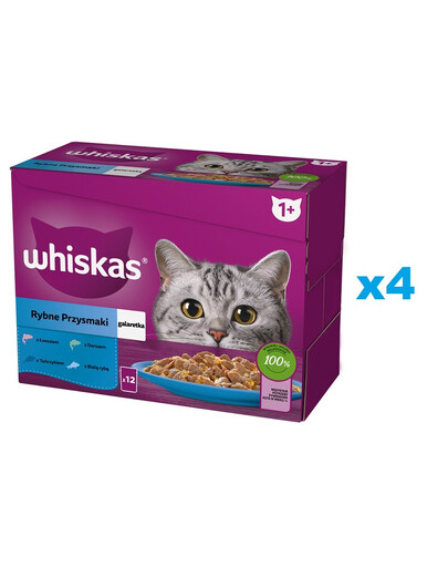 WHISKAS Adult 48x85g Fish Delicacies cibo umido per gatti adulti in gelatina con: salmone, tonno, merluzzo, pesce bianco