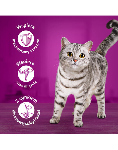 WHISKAS Adult 52x85 g Poultry feast cibo umido per gatti adulti in gelatina con: pollo, tacchino