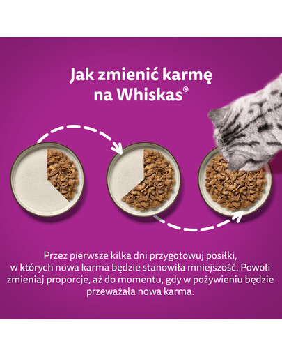 WHISKAS Adult 52x85 g Poultry feast cibo umido per gatti adulti in gelatina con: pollo, tacchino