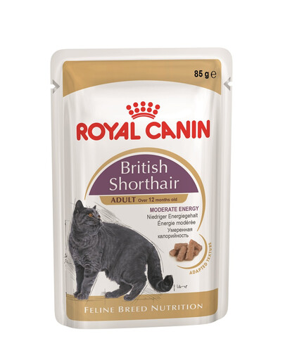 ROYAL CANIN British Shorthair cibo umido in salsa per gatti adulti British Shorthair 48x85 g