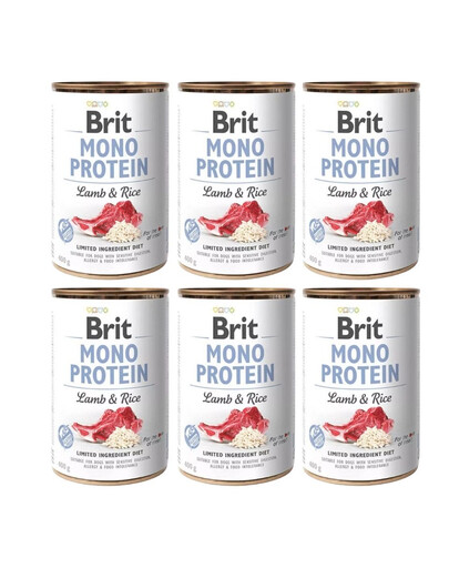 BRIT Mono Protein Lamb & Rice 6 x 400g alimento monoproteico con agnello e riso